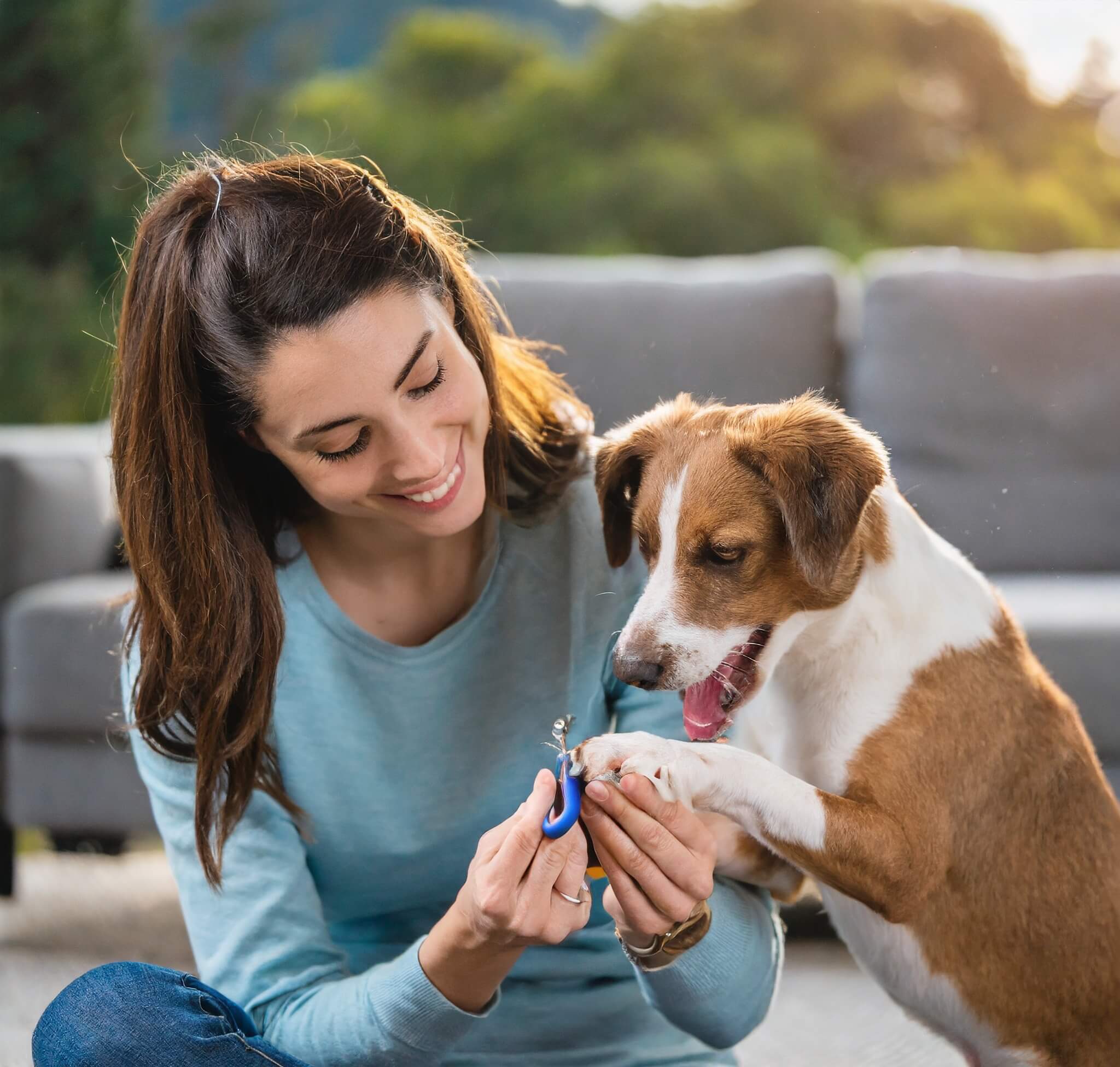 How to Trim Your Dog's Nails Safely at Home