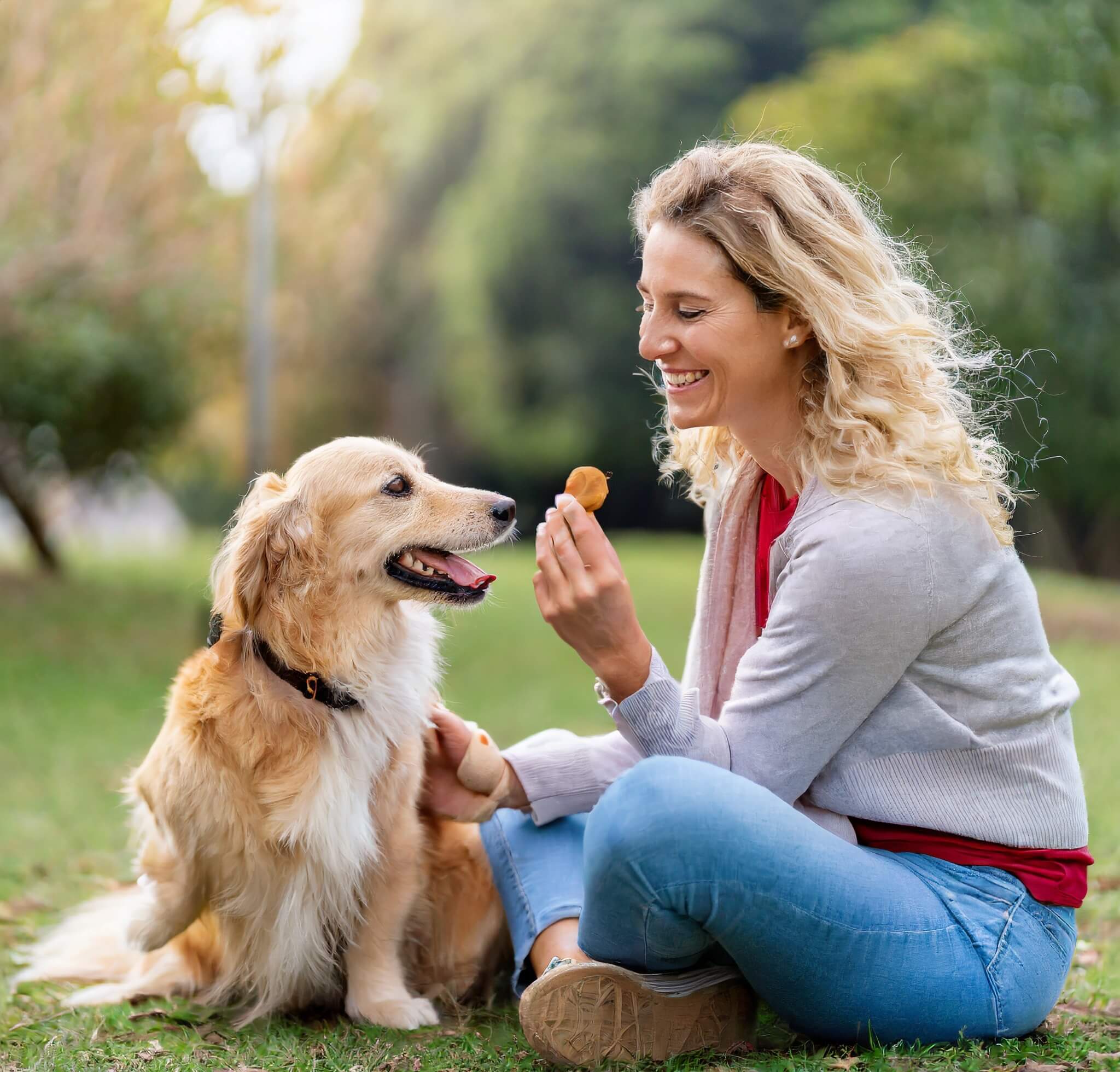 Owner training a happy dog with a treat in a sunny park
