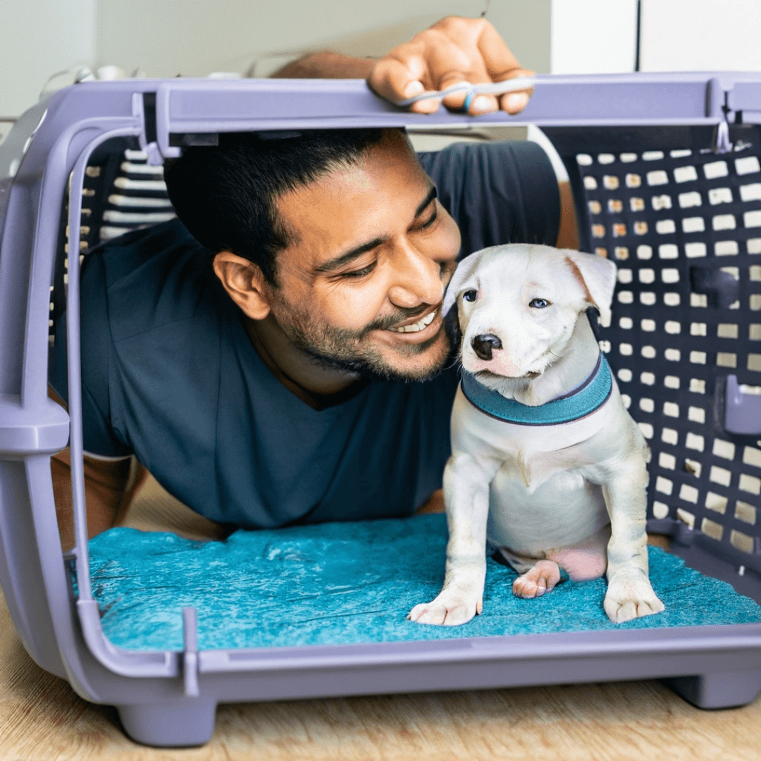 The Beginner's Guide to Crate Training a Puppy
